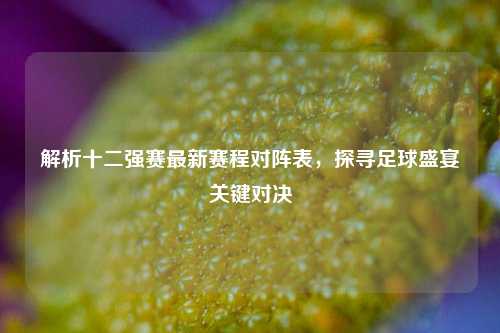 解析十二强赛最新赛程对阵表，探寻足球盛宴关键对决