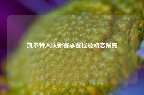 凯尔特人队新赛季赛程及动态聚焦