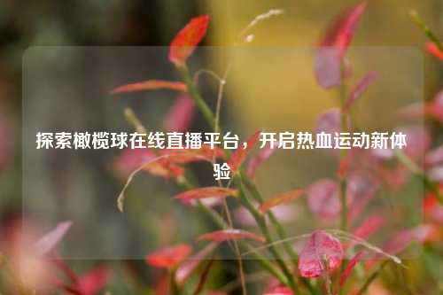 探索橄榄球在线直播平台，开启热血运动新体验