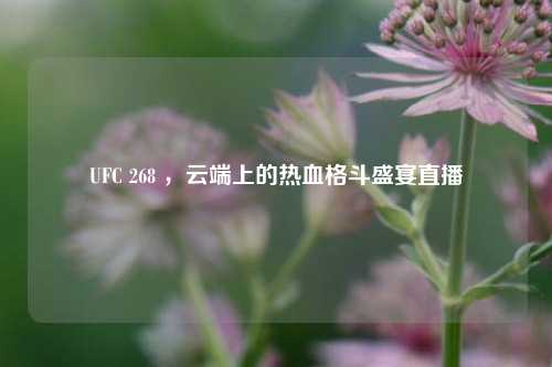 UFC 268 ，云端上的热血格斗盛宴直播