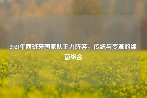 2021年西班牙国家队主力阵容，传统与变革的绿茵组合