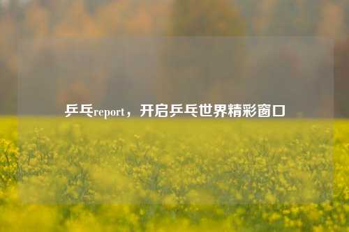 乒乓report，开启乒乓世界精彩窗口