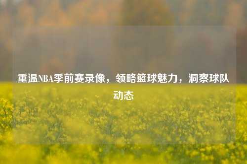 重温NBA季前赛录像，领略篮球魅力，洞察球队动态