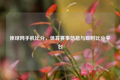 体球网手机比分，体育赛事信息与即时比分平台