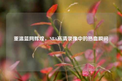 重温篮网辉煌，NBA高清录像中的热血瞬间