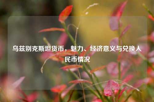 乌兹别克斯坦货币，魅力、经济意义与兑换人民币情况