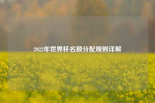 2022年世界杯名额分配规则详解
