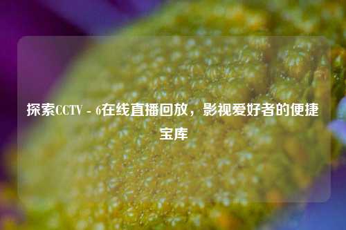 探索CCTV - 6在线直播回放，影视爱好者的便捷宝库