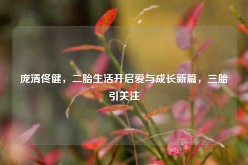 庞清佟健，二胎生活开启爱与成长新篇，三胎引关注