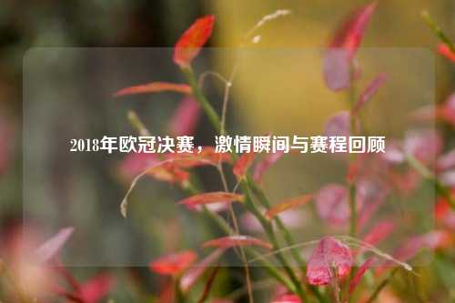 2018年欧冠决赛，激情瞬间与赛程回顾