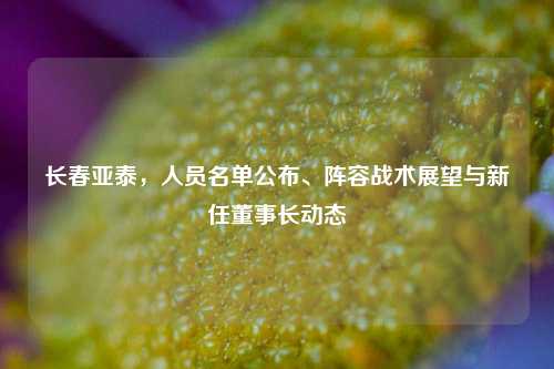 长春亚泰，人员名单公布、阵容战术展望与新任董事长动态