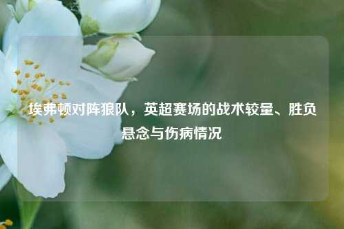 埃弗顿对阵狼队，英超赛场的战术较量、胜负悬念与伤病情况