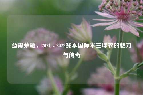 蓝黑荣耀，2021 - 2022赛季国际米兰球衣的魅力与传奇