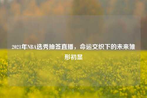 2021年NBA选秀抽签直播，命运交织下的未来雏形初显