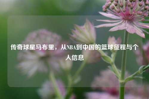 传奇球星马布里，从NBA到中国的篮球征程与个人信息