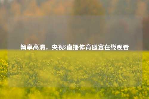 畅享高清，央视5直播体育盛宴在线观看