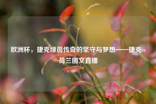 欧洲杯，捷克绿茵传奇的坚守与梦想——捷克vs荷兰图文直播