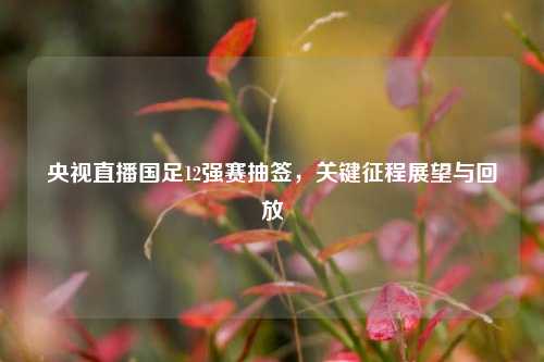 央视直播国足12强赛抽签，关键征程展望与回放