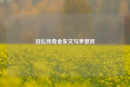 羽坛传奇金东文与罗景民