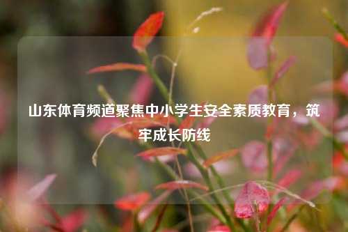山东体育频道聚焦中小学生安全素质教育，筑牢成长防线