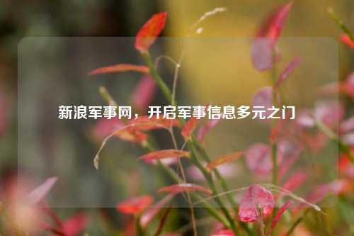 新浪军事网，开启军事信息多元之门