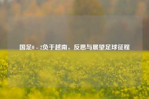 国足0 - 2负于越南，反思与展望足球征程