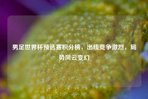 男足世界杯预选赛积分榜，出线竞争激烈，局势风云变幻