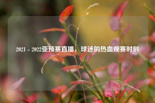 2021 - 2022亚预赛直播，球迷的热血观赛时刻