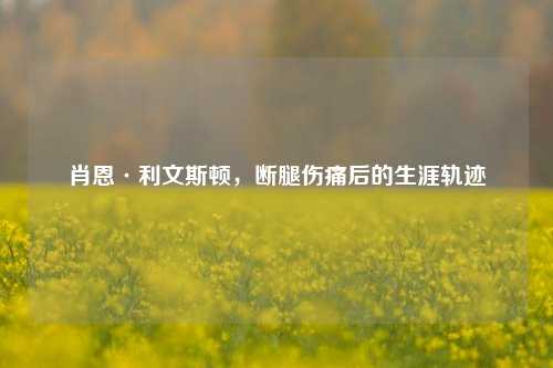 肖恩·利文斯顿，断腿伤痛后的生涯轨迹