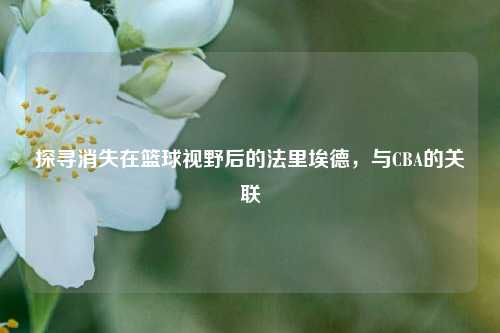 探寻消失在篮球视野后的法里埃德，与CBA的关联
