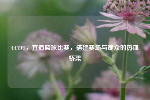 CCTV5，直播篮球比赛，搭建赛场与观众的热血桥梁