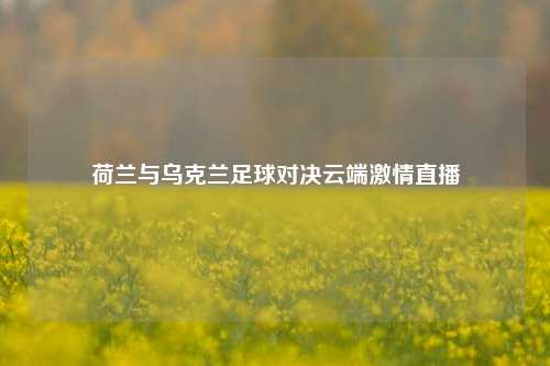 荷兰与乌克兰足球对决云端激情直播
