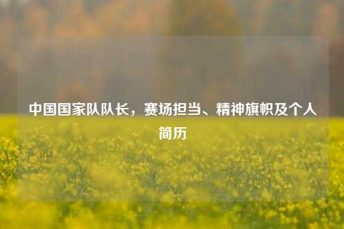 中国国家队队长，赛场担当、精神旗帜及个人简历