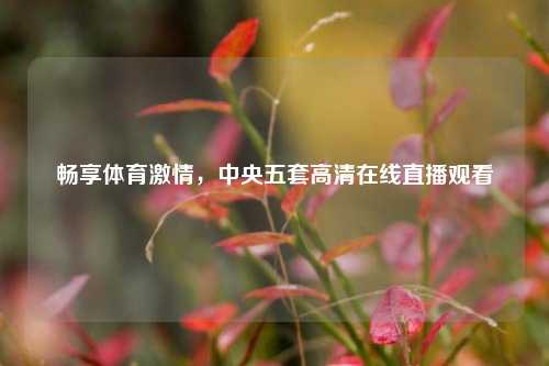 畅享体育激情，中央五套高清在线直播观看