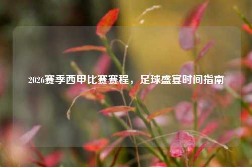 2026赛季西甲比赛赛程，足球盛宴时间指南