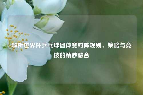 解析世界杯乒乓球团体赛对阵规则，策略与竞技的精妙融合