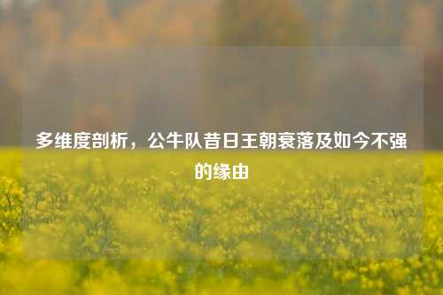多维度剖析，公牛队昔日王朝衰落及如今不强的缘由