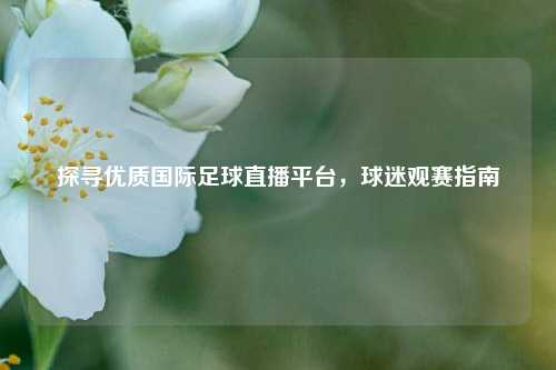 探寻优质国际足球直播平台，球迷观赛指南