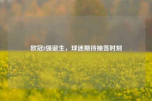 欧冠8强诞生，球迷期待抽签时刻