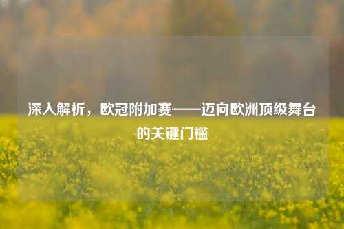 深入解析，欧冠附加赛——迈向欧洲顶级舞台的关键门槛