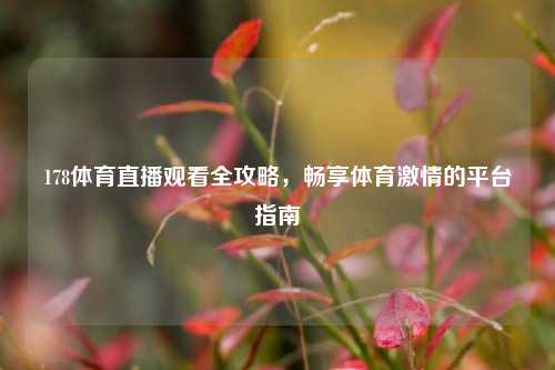 178体育直播观看全攻略，畅享体育激情的平台指南