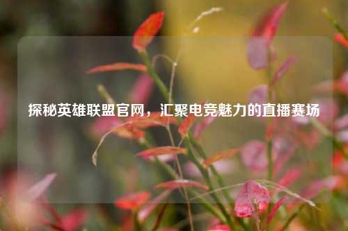 探秘英雄联盟官网，汇聚电竞魅力的直播赛场