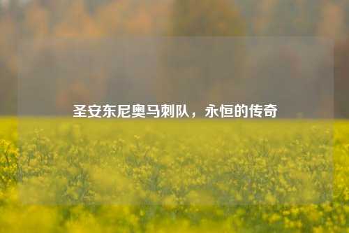 圣安东尼奥马刺队，永恒的传奇