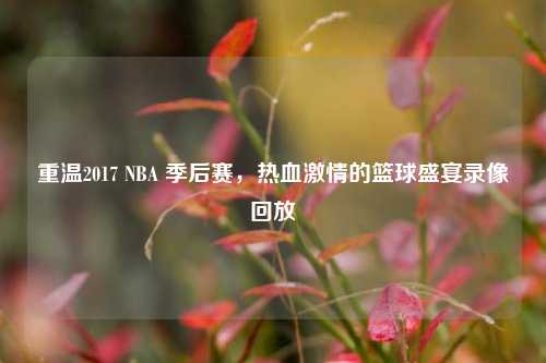 重温2017 NBA 季后赛，热血激情的篮球盛宴录像回放