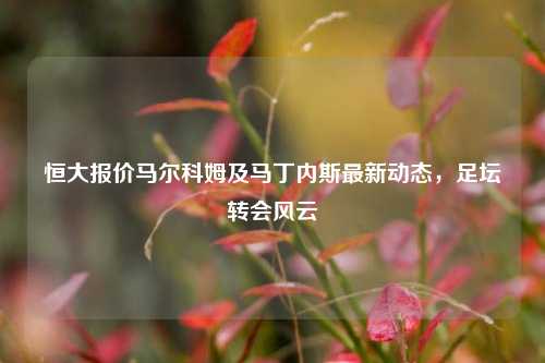 恒大报价马尔科姆及马丁内斯最新动态，足坛转会风云