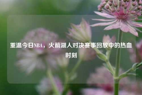 重温今日NBA，火箭湖人对决赛事回放中的热血时刻