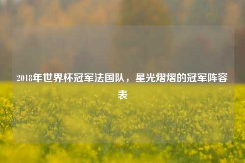 2018年世界杯冠军法国队，星光熠熠的冠军阵容表