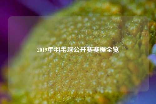 2019年羽毛球公开赛赛程全览