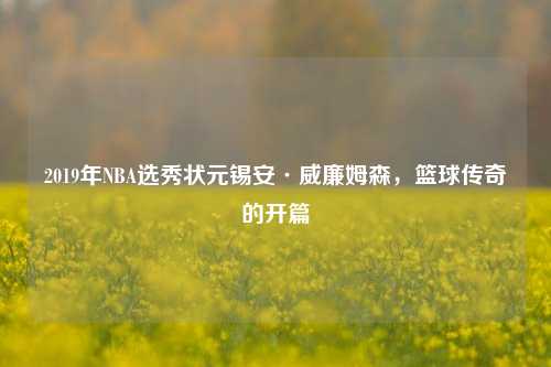 2019年NBA选秀状元锡安·威廉姆森，篮球传奇的开篇