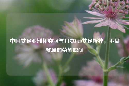 中国女足亚洲杯夺冠与日本U20女足折桂，不同赛场的荣耀瞬间